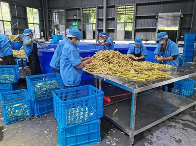 雅安市雨城區(qū) 嚴(yán)守食用林產(chǎn)品安全防線，推動(dòng)食用農(nóng)產(chǎn)品研發(fā)創(chuàng)新